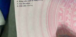 làm sổ đỏ giả, sổ hồng giả