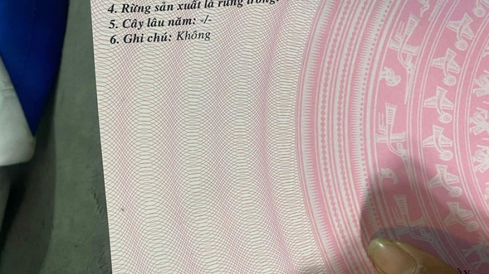làm sổ đỏ giả, sổ hồng giả