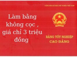 làm bằng giả