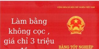 làm bằng giả