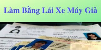 Làm bằng lái xe máy giả