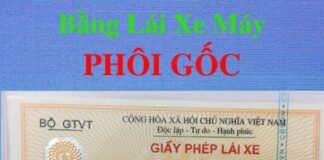 Làm bằng lái xe máy phôi gốc
