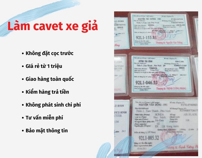 làm cà vẹt giả