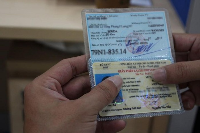 làm cà vẹt giả