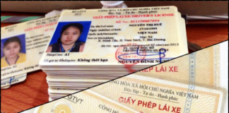 mua bằng lái xe máy giả