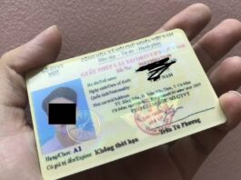 Làm Bằng Lái Xe Giả Và Lái Xe Máy, B2, C, D, E