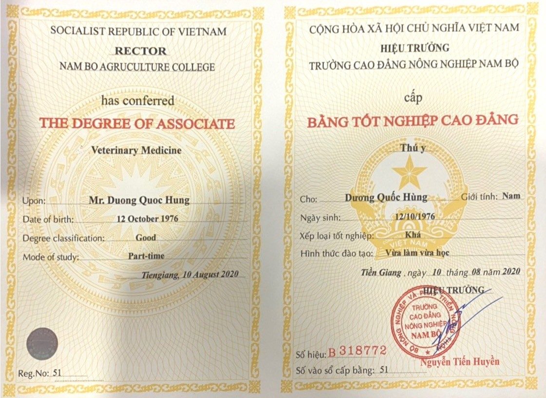 Làm Bằng Cao Đẳng Phôi Thật Là Sao?