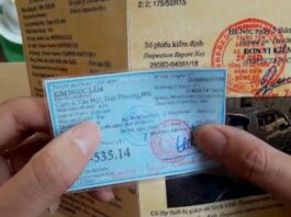 Làm Cavet Giả, Làm Giấy Tờ Xe Giả