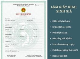Làm Giấy Khai Sinh Giả An Toàn Chuyên Nghiệp Không Cần Cọc