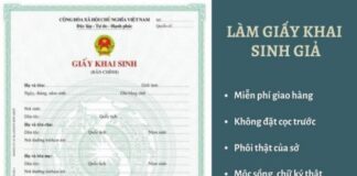 Làm Giấy Khai Sinh Giả An Toàn Chuyên Nghiệp Không Cần Cọc