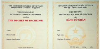 Làm bằng đại học giá rẻ tại