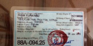 làm giả cavet xe