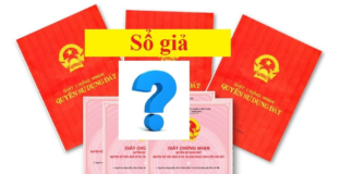 Làm sổ hồng giả - Sổ đỏ giả