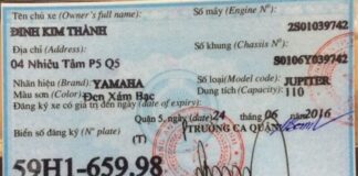 Làm cavet xe máy giả - nhanh chóng - Giá Rẻ