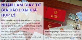 Nhận làm sổ đỏ giả tại Hà Nội